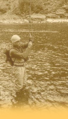provo river fly fishing