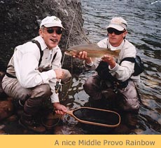 provo river fly fishing guide