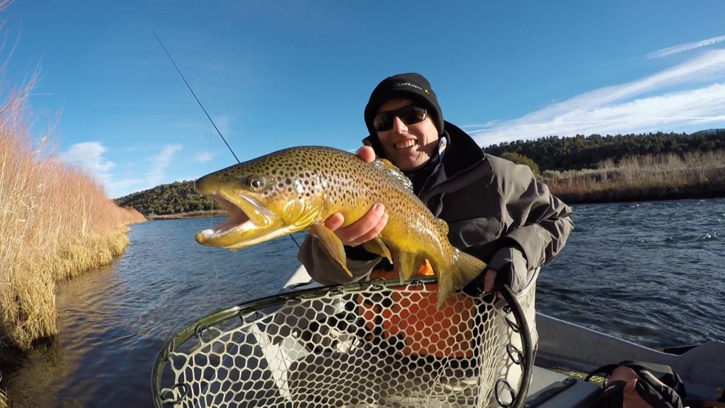 Green River Fishing Reports, Latest Fly Fishing Conditions