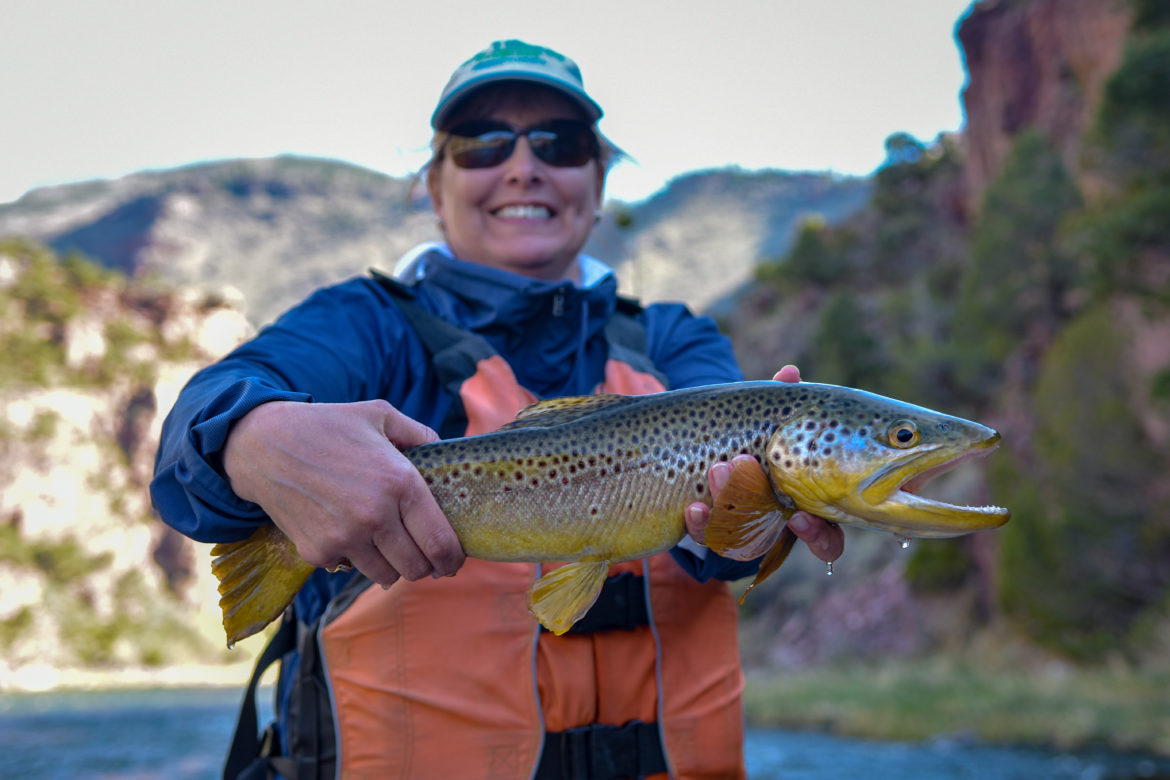  Green River Fishing Reports Latest Fly Fishing Conditions Page 7 of 9