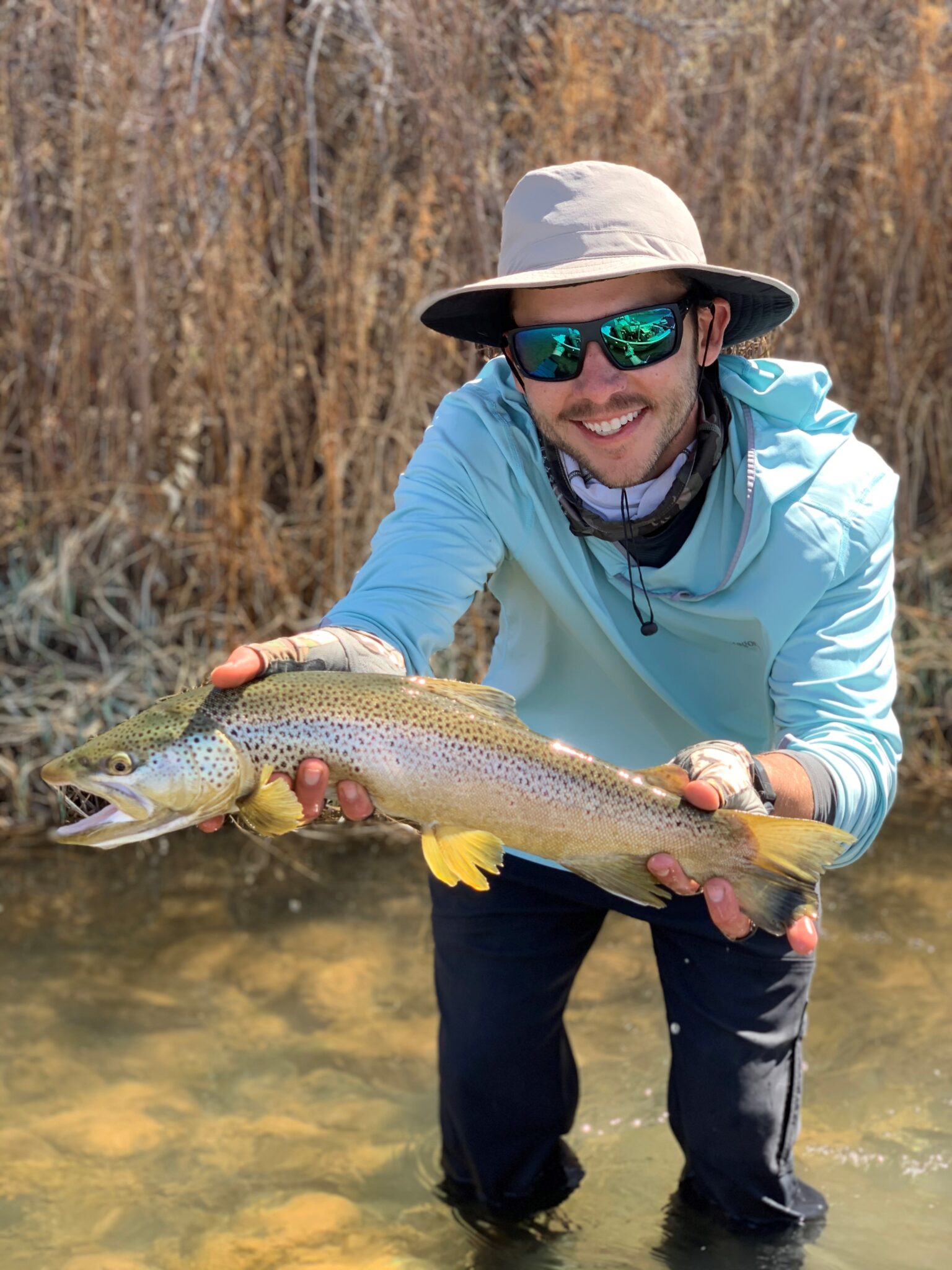 Middle Provo Fishing Reports | Provo River Fly Fishing Conditions