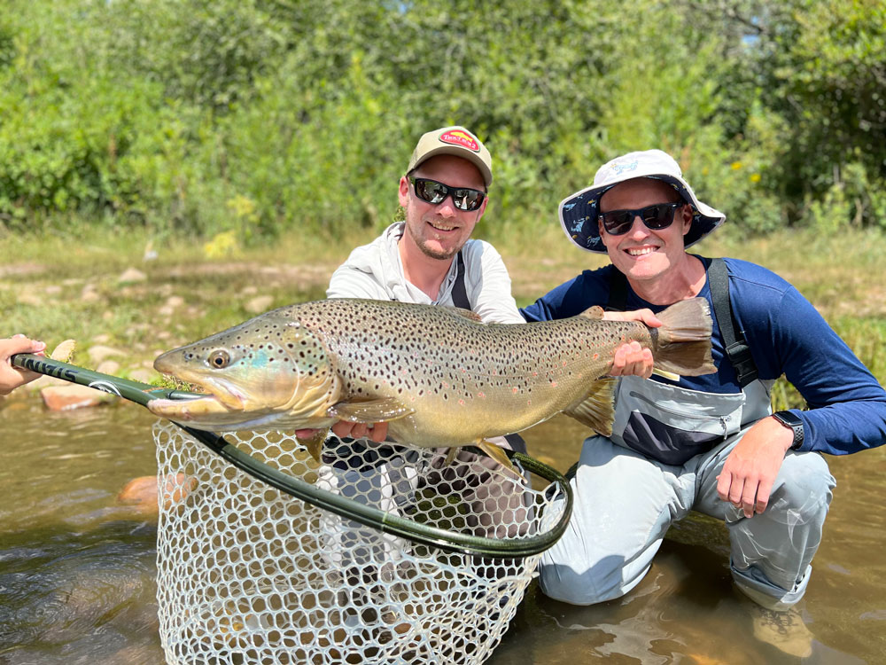 Utah Fly Fishing Reports, Provo and Weber River
